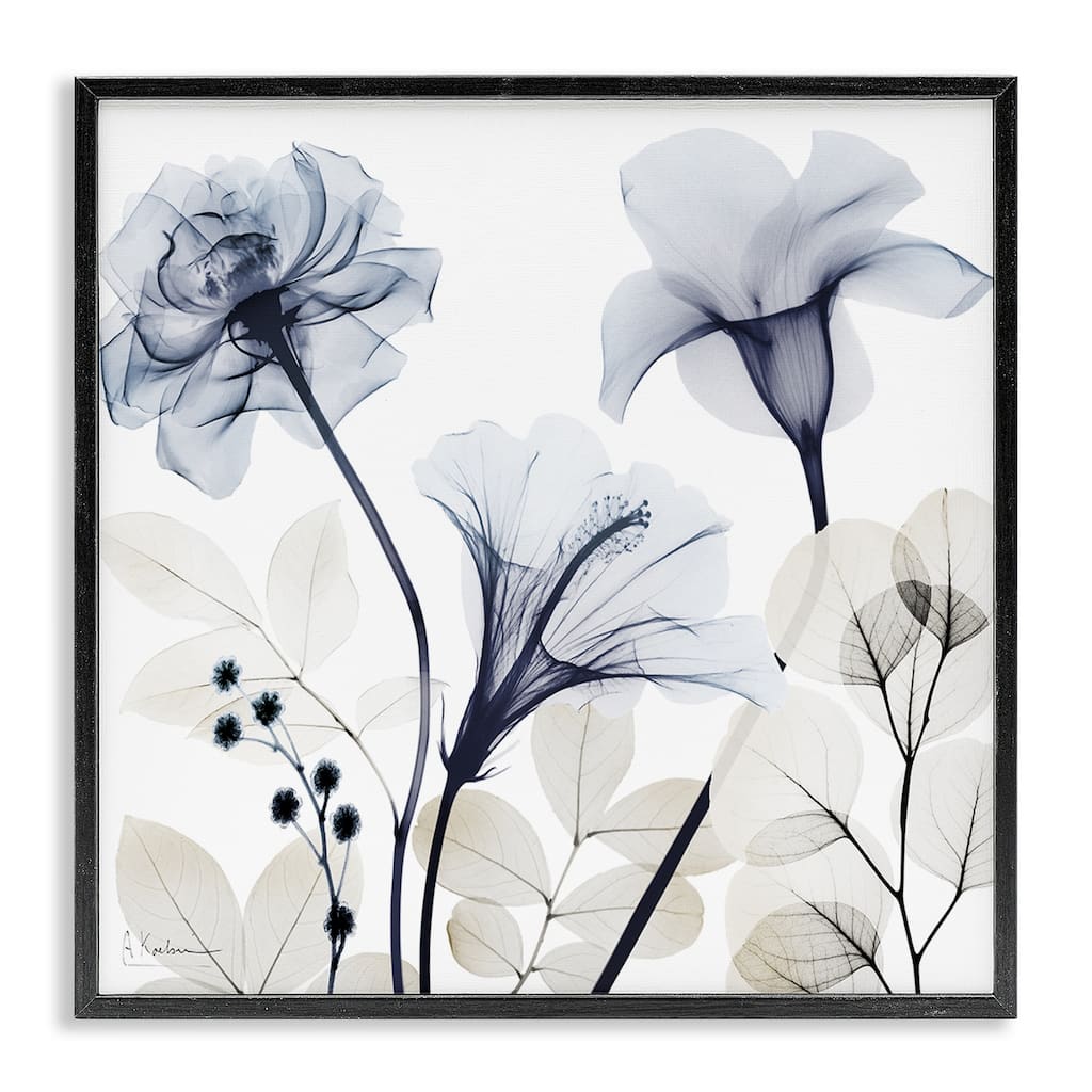 Stupell Sophisticated Minimal Flowers Framed Giclee Art Design By Albert Koetsier