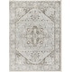 preview thumbnail 8 of 34, Livabliss San Francisco Updated Traditional Area Rug