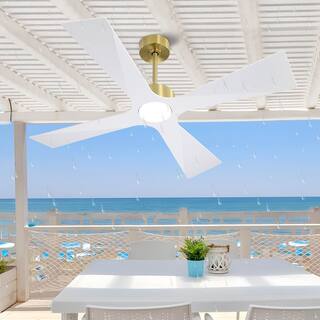 MLiAN 64 In. 4 -ABS Blades Wet Rated Outdoor Ceiling Fan with Remote