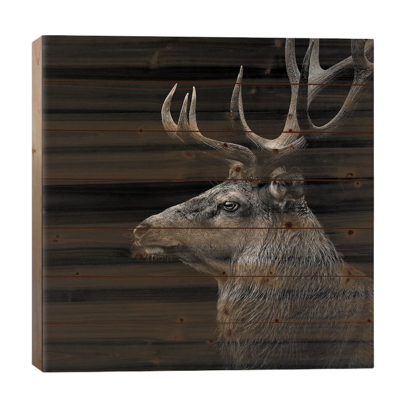 Deer In Black & White Print On Wood by Lukas Holas - Multi-Color - 26x26x1.5