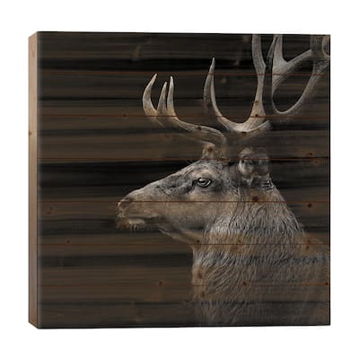 Deer In Black & White Print On Wood by Lukas Holas - Multi-Color