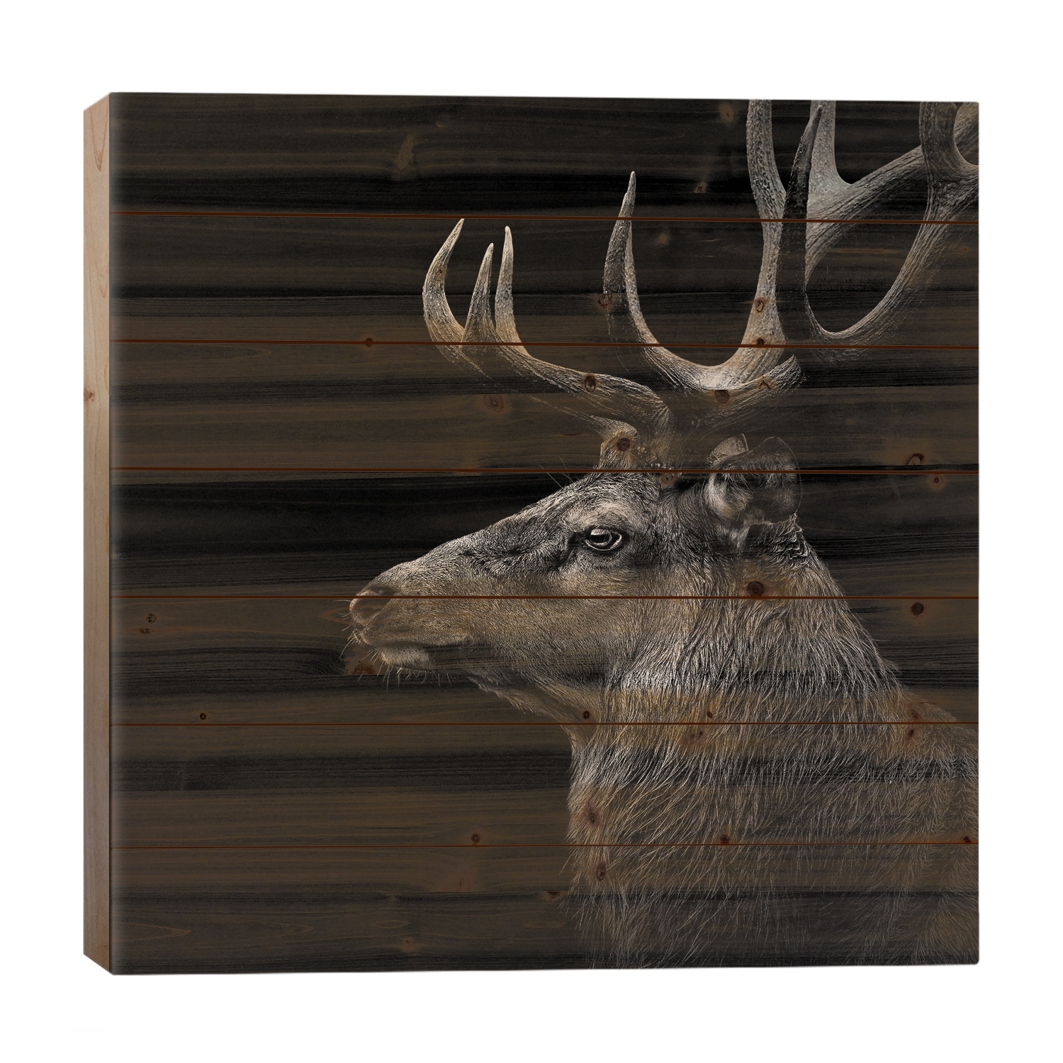 Deer In Black & White Print On Wood by Lukas Holas - Multi-Color