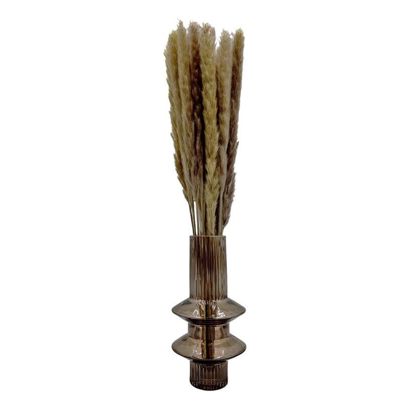 Bundle of 4 Preserved flowers Small pampass grass, 20" long - 20 inch