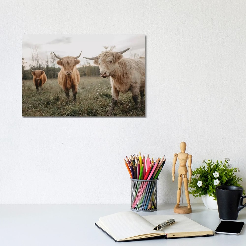 iCanvas "Cows In The Field At Sunrise" by Chelsea Victoria Canvas Print