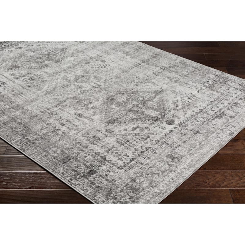 Livabliss Monte Carlo Updated Traditional Medallion Area Rug
