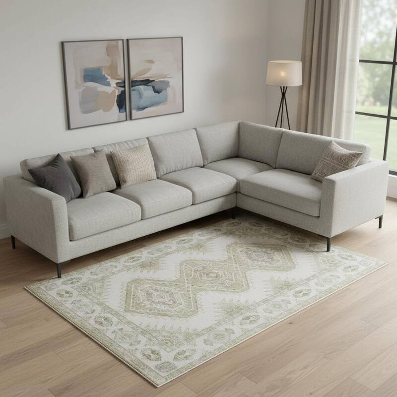 HomeRoots Southwestern Modern, Contemporary Rectangle Area Rug - 6' X 9'