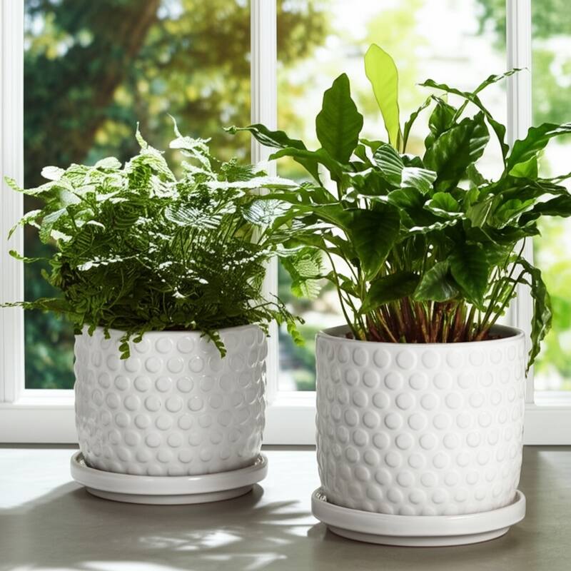 Ceramic Planters with Textured Bubble Surface and Saucers (Set of 2) - 8" x 8" x 7"