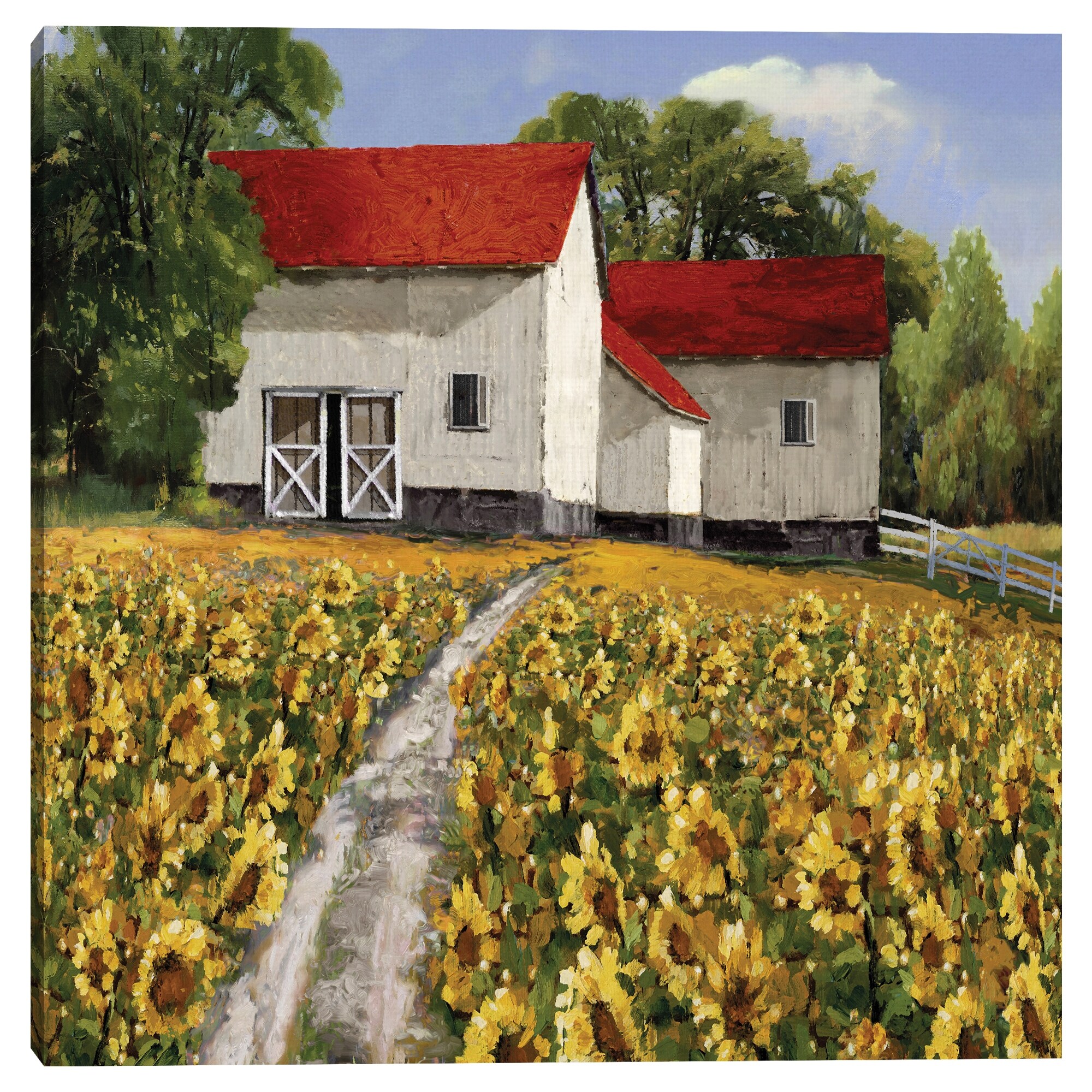 Sunflower Path by Mark Chandon Canvas Art Print