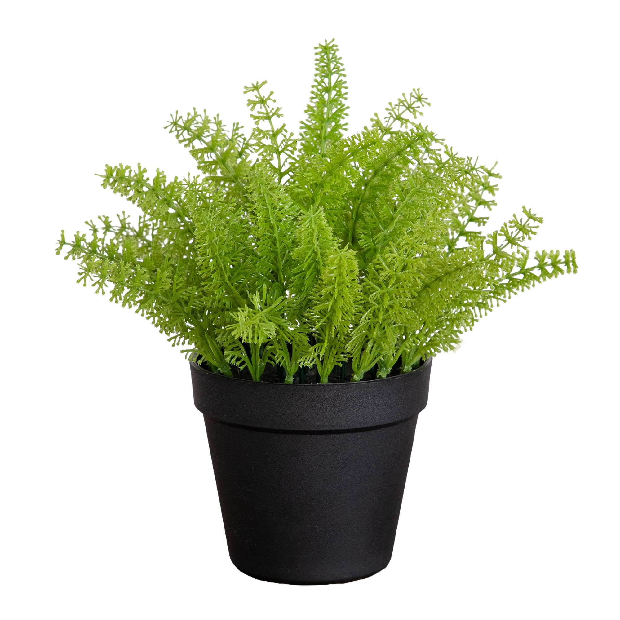 11-in Artificial Mini Fern Plant