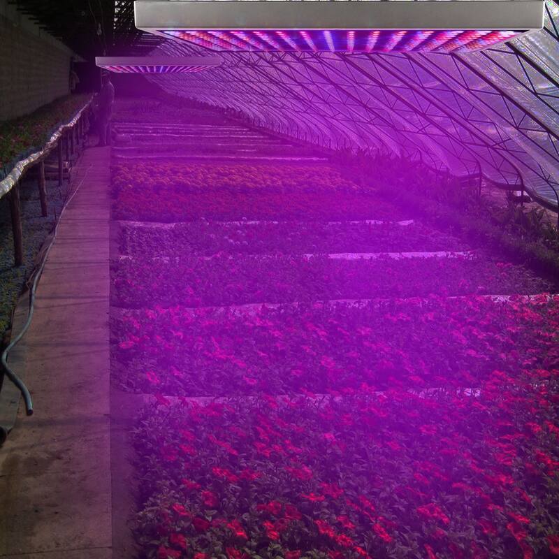 225 LED Full Spectrum Hanging Grow Light for Indoor Plants Herbs Vegetables Succulents - Purple - 12.2”×12.2”×1.4”