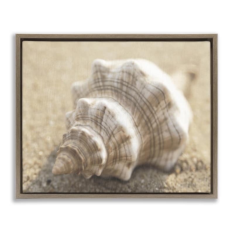 Stupell Neutral Tone Conch Shell Framed Floater Canvas Wall Art Design By Dora Rotondella - 21 x 17 - Brown