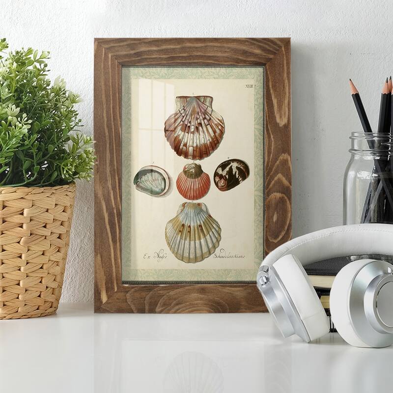 Bookplate Shells III -Framed Print w/glass-Cherry Red