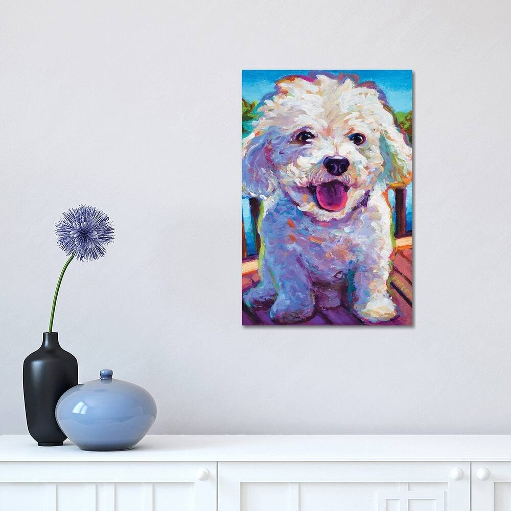 iCanvas "Bichon Frise" by Robert Phelps Canvas Print