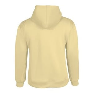 vegas gold hoodie