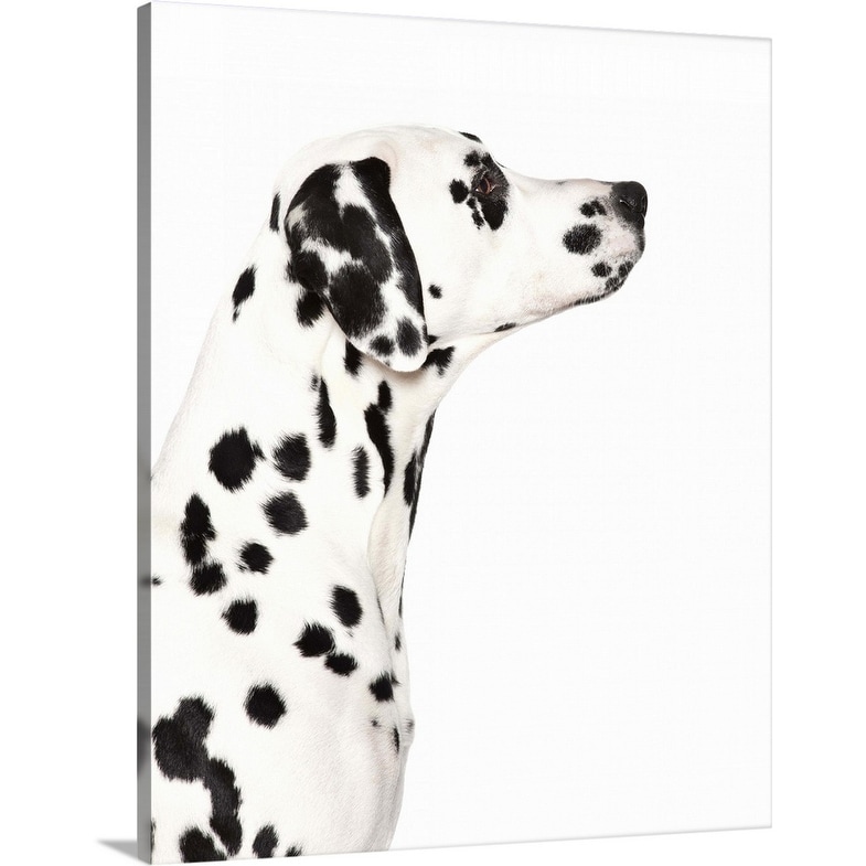 dalmatian canvas art