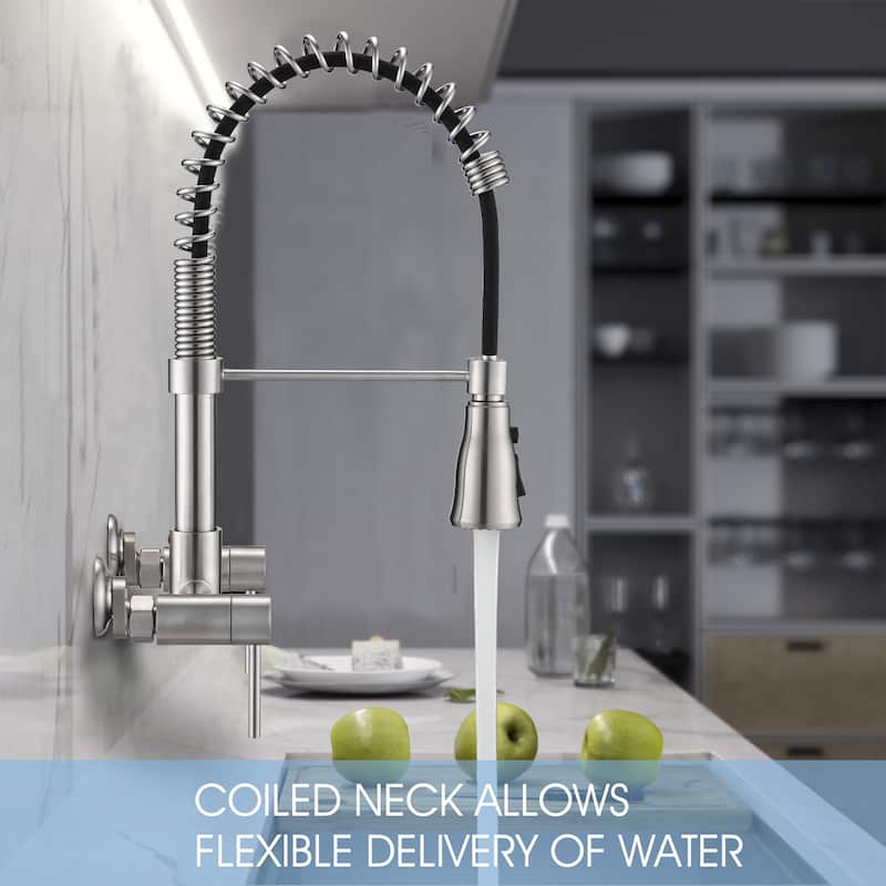 Dornberg Wall Mounted Pull Down Bridge Kitchen Faucet