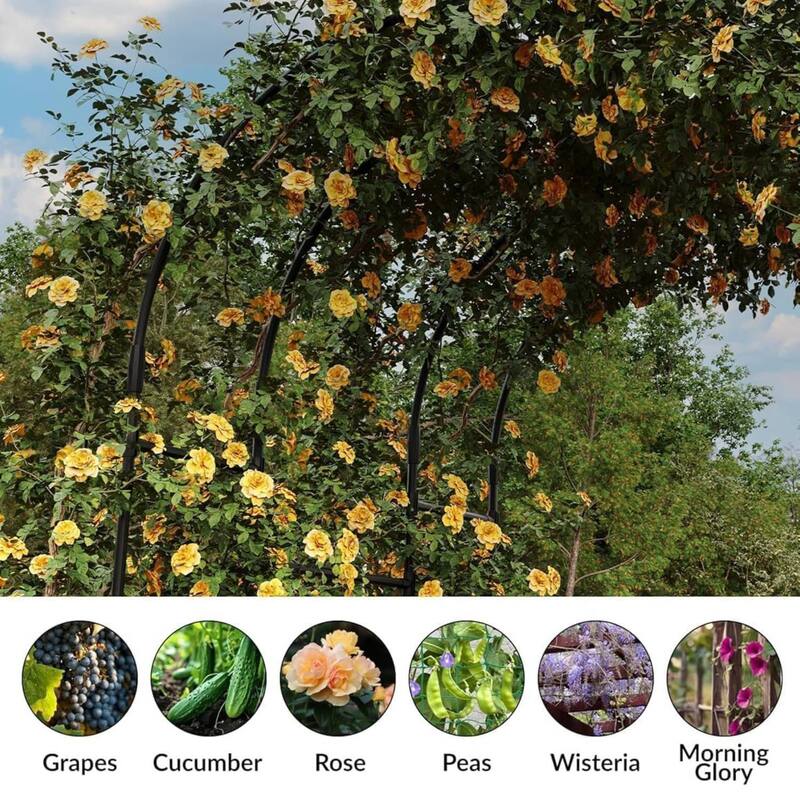 Outdoor Garden Arch Arbor Trellis for Climbing Plants