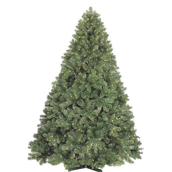 Christmas at Winterland WL-TRSQ-09 9 Foot Classic Sequoia Christmas Tree with Metal Stand Indoor / Outdoor