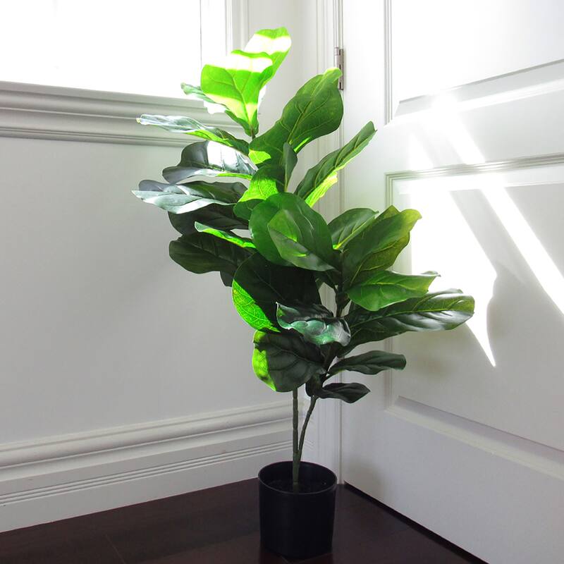 3ft Artificial Fiddle Leaf Fig Tree Plant in Black Pot - 36" H x 24" W x 18" DP
