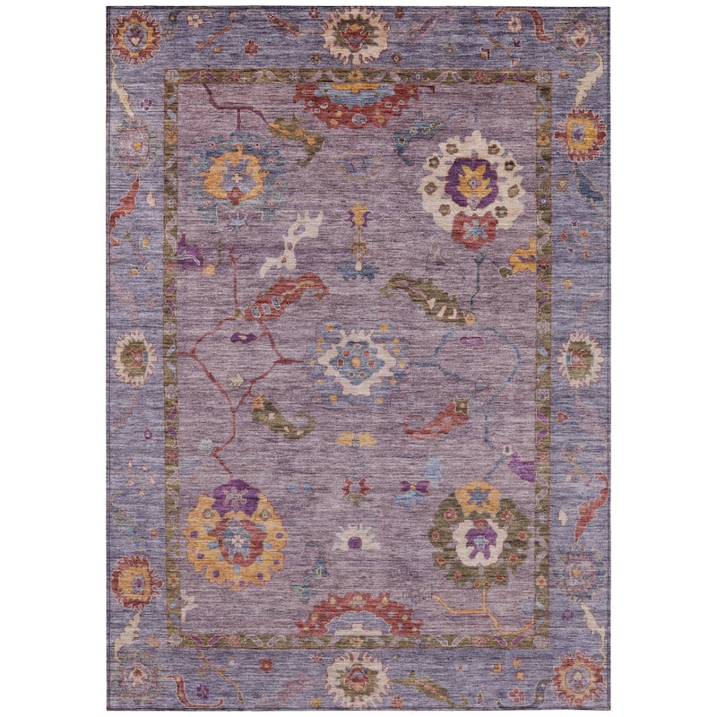 Machine Washable Indoor/ Outdoor Traditional Boho Chantille Rug