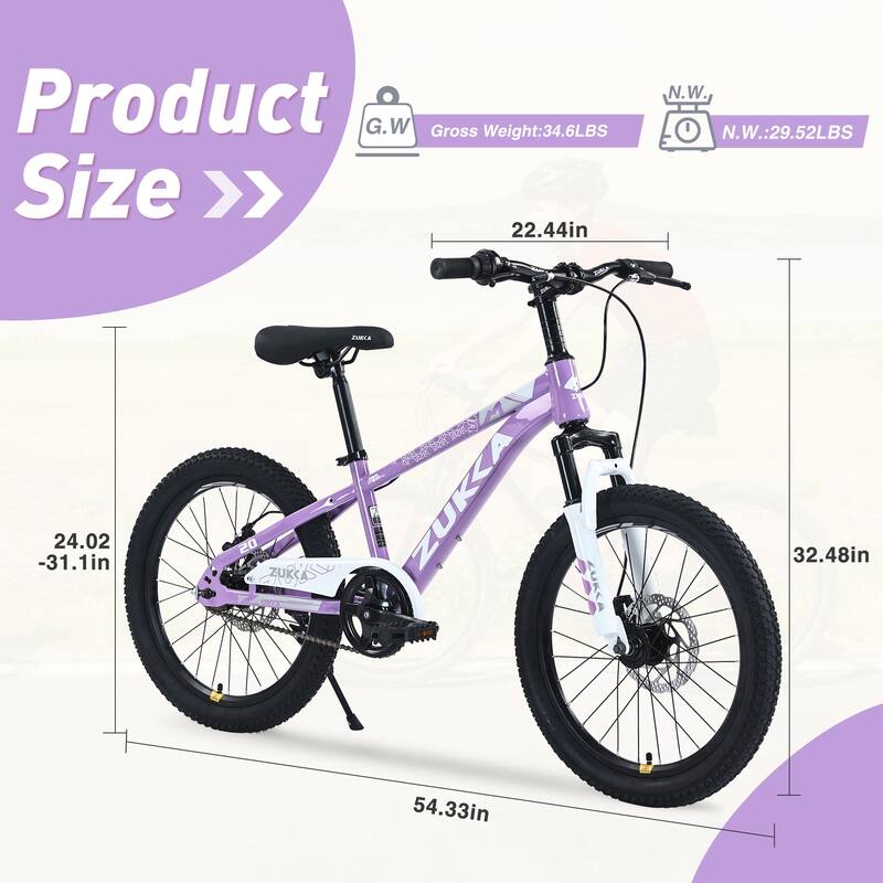 Mountain Cycling Bike 20 Inch Road Bicycle, Steel Single Speed Bikewith Dual Disc Brakes and Suspension Fork for Kids & Teens