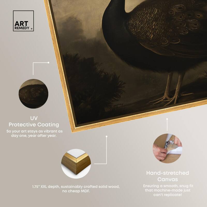 Peacock in Monotone Canvas by Art Remedy