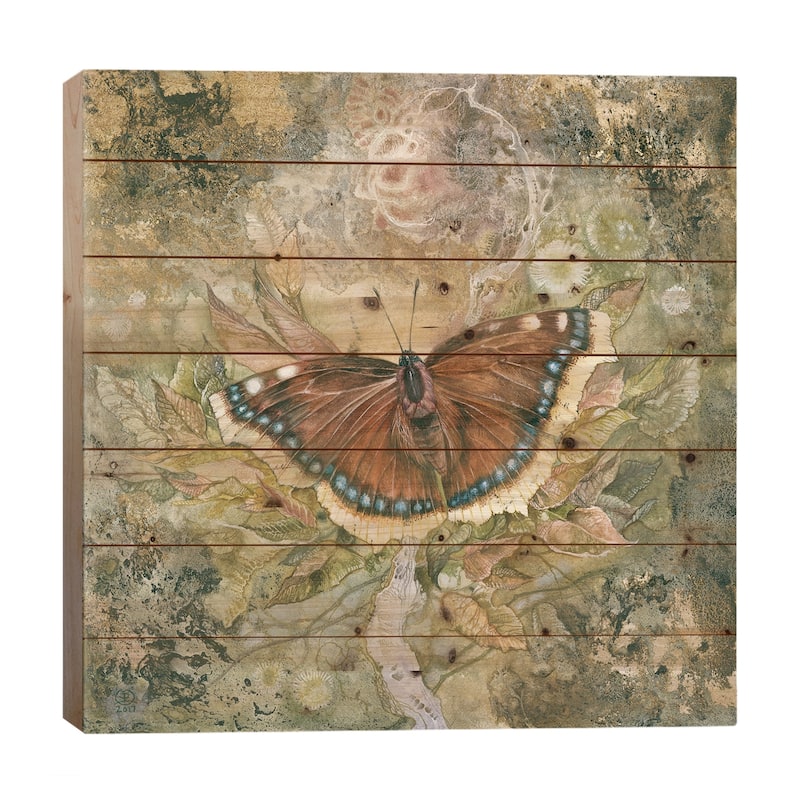 Mourning Cloak Print On Wood by Stephanie Law - Multi-Color - 26x26x1.5