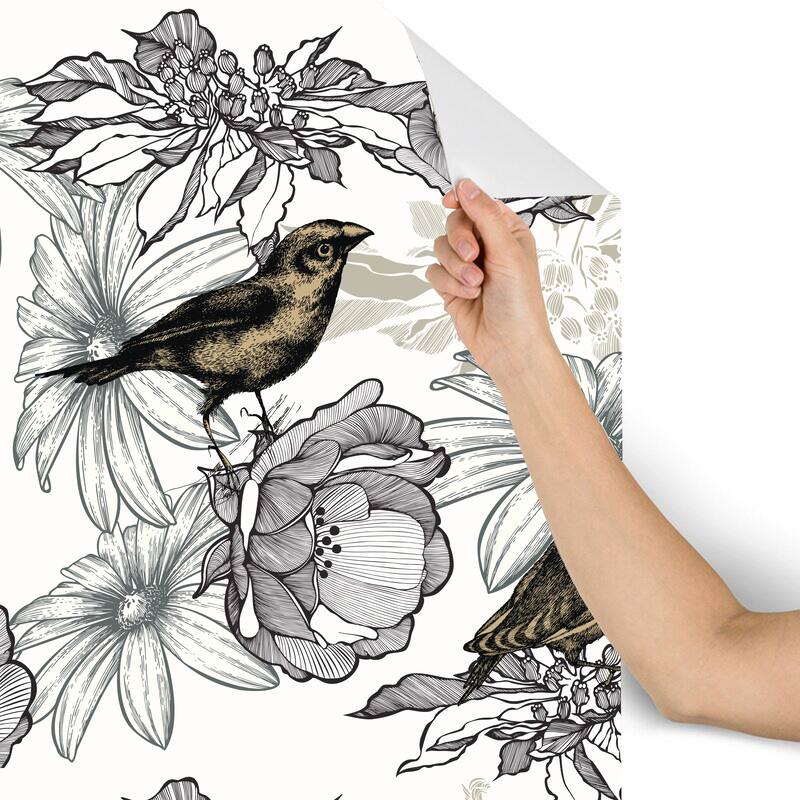 Birds with Roses Candila Removable Wallpaper - 24'' inch x 10'ft