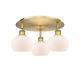 Option Brushed Brass / Matte White