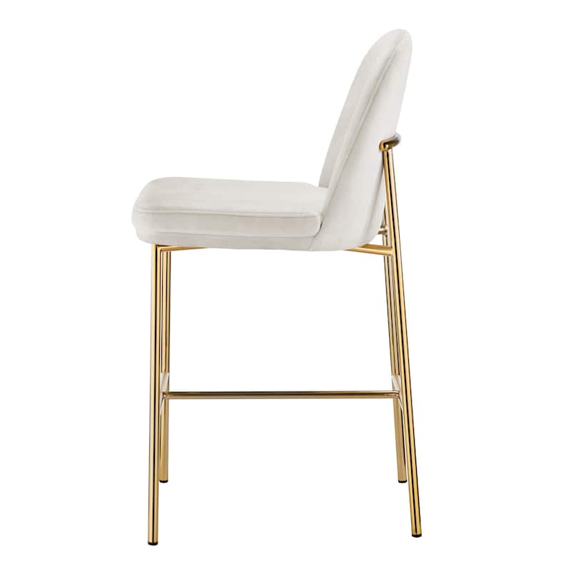 NPD Furniture Keisha Counter Stool (Set of 2)