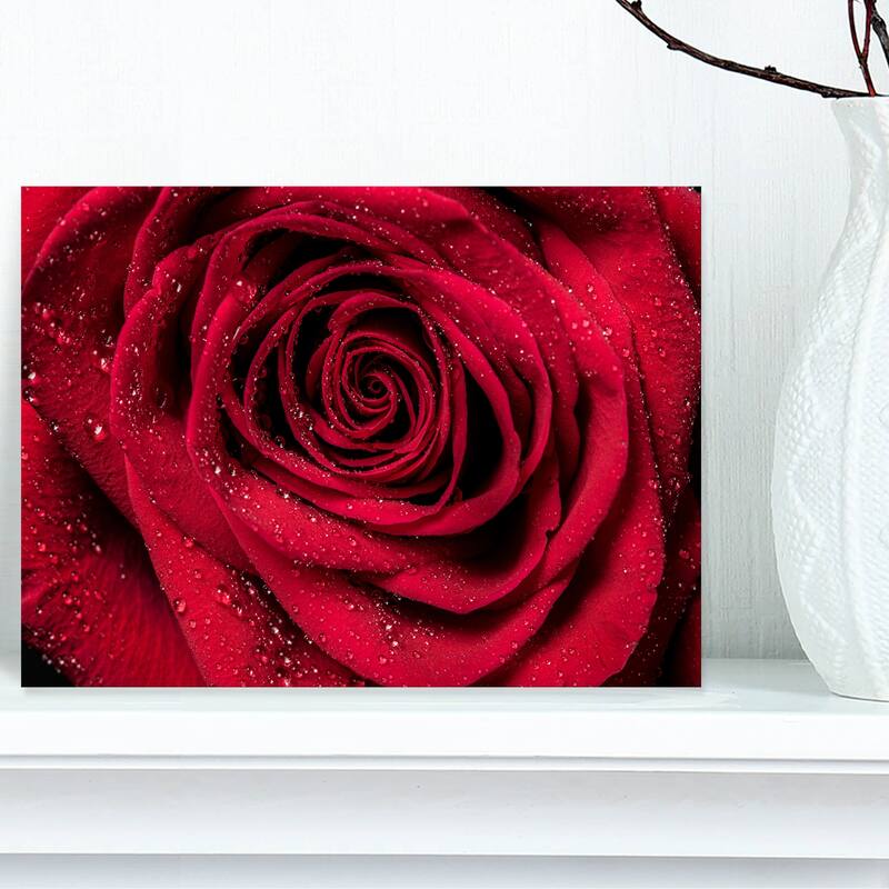 Red Rose Petals with Rain Droplets - Floral Canvas Art Print - 12 in. wide x 8 in. high