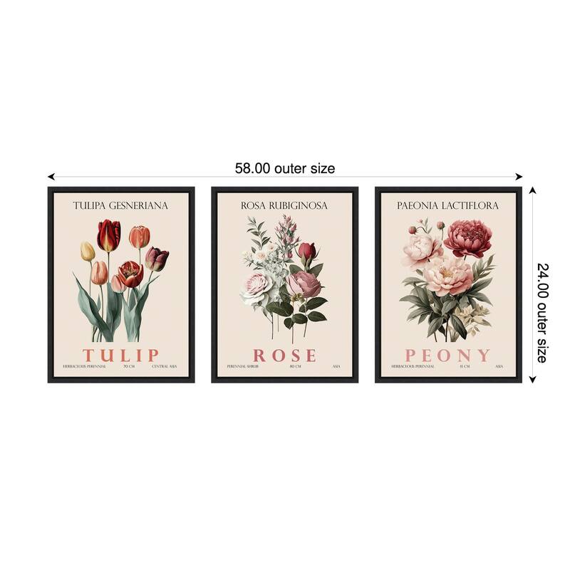 Amanti Art Vintage Rose Peony and Tulip 3 Piece by Christopher Giampietro Framed Canvas Wall Art - Black