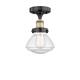 Option Black Antique Brass / Seedy