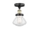 Option Black Antique Brass / Seedy