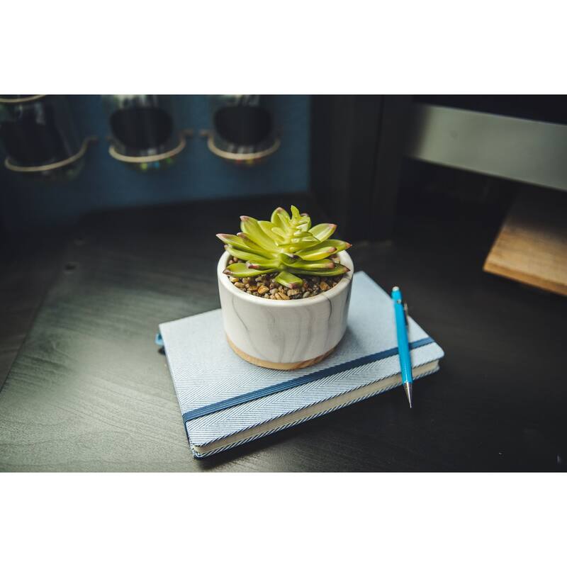 SET OF 2 Artificial Plant Succulent in Marble Finish Ceramic Pot w Wood Base - ONE-SIZE