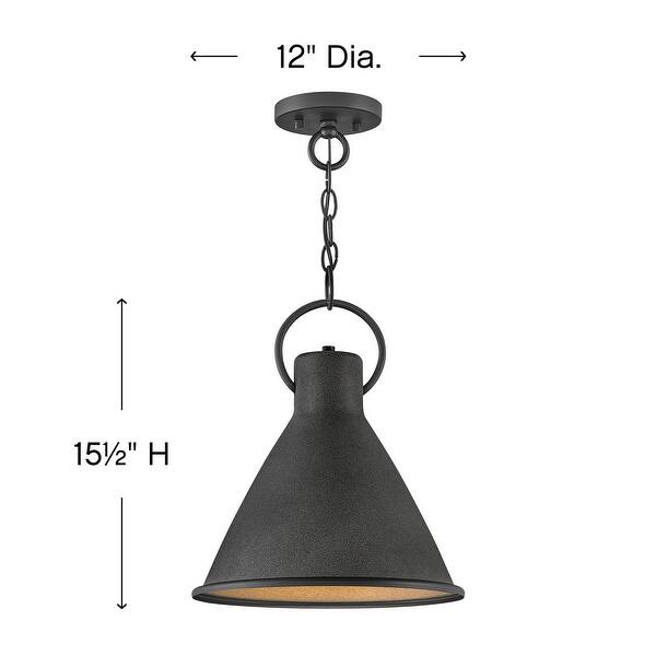 Hinkley Winnie 1-Light Pendant in Aged Zinc