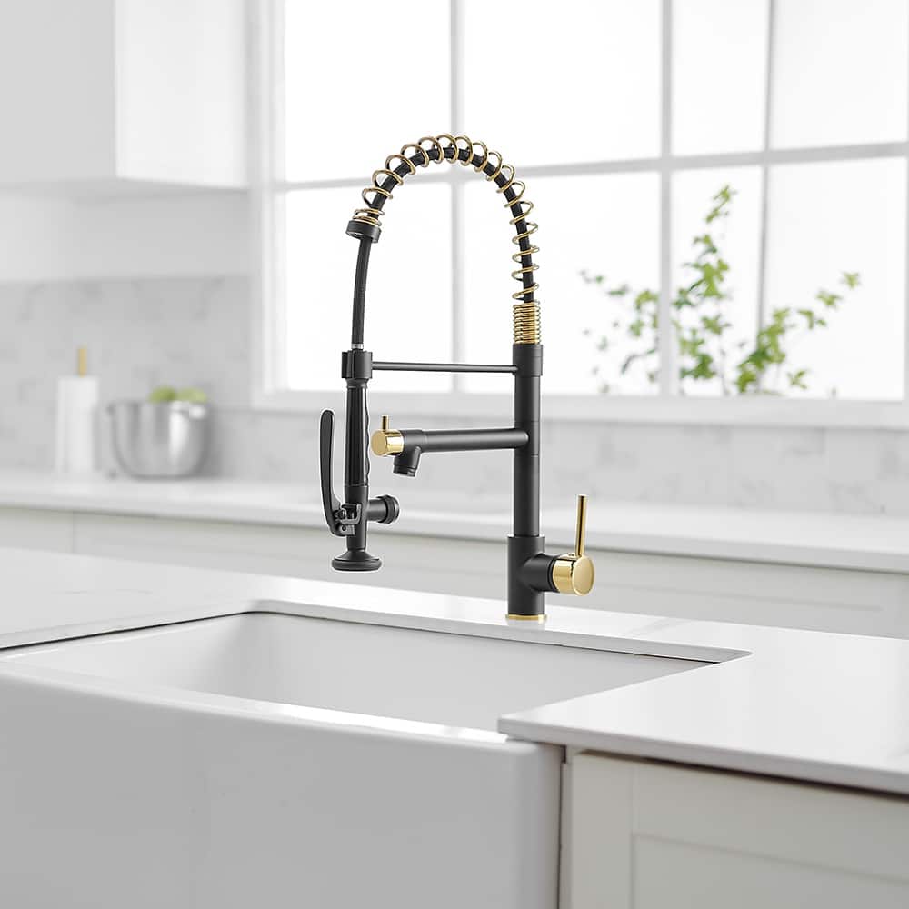 Pull Down Single Handle Kitchen Sink Faucet