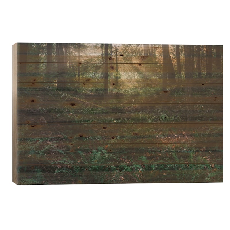 Among The Ferns Print On Wood by Louis Ruth - Multi-Color - 18x26x1.5