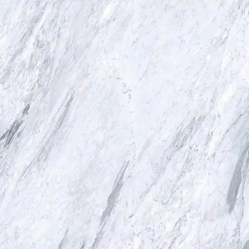 Regalia 24x24 in. Matte Color Body Porcelain Marble-look Vein Large Wall and Floor Tile (15.5 sq ft/case, 4-Pack)