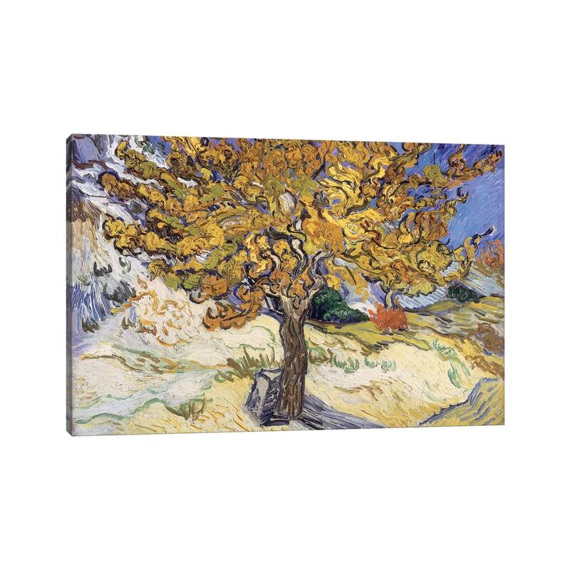 iCanvas "Mulberry Tree, 1889 " by Vincent van Gogh Canvas Print