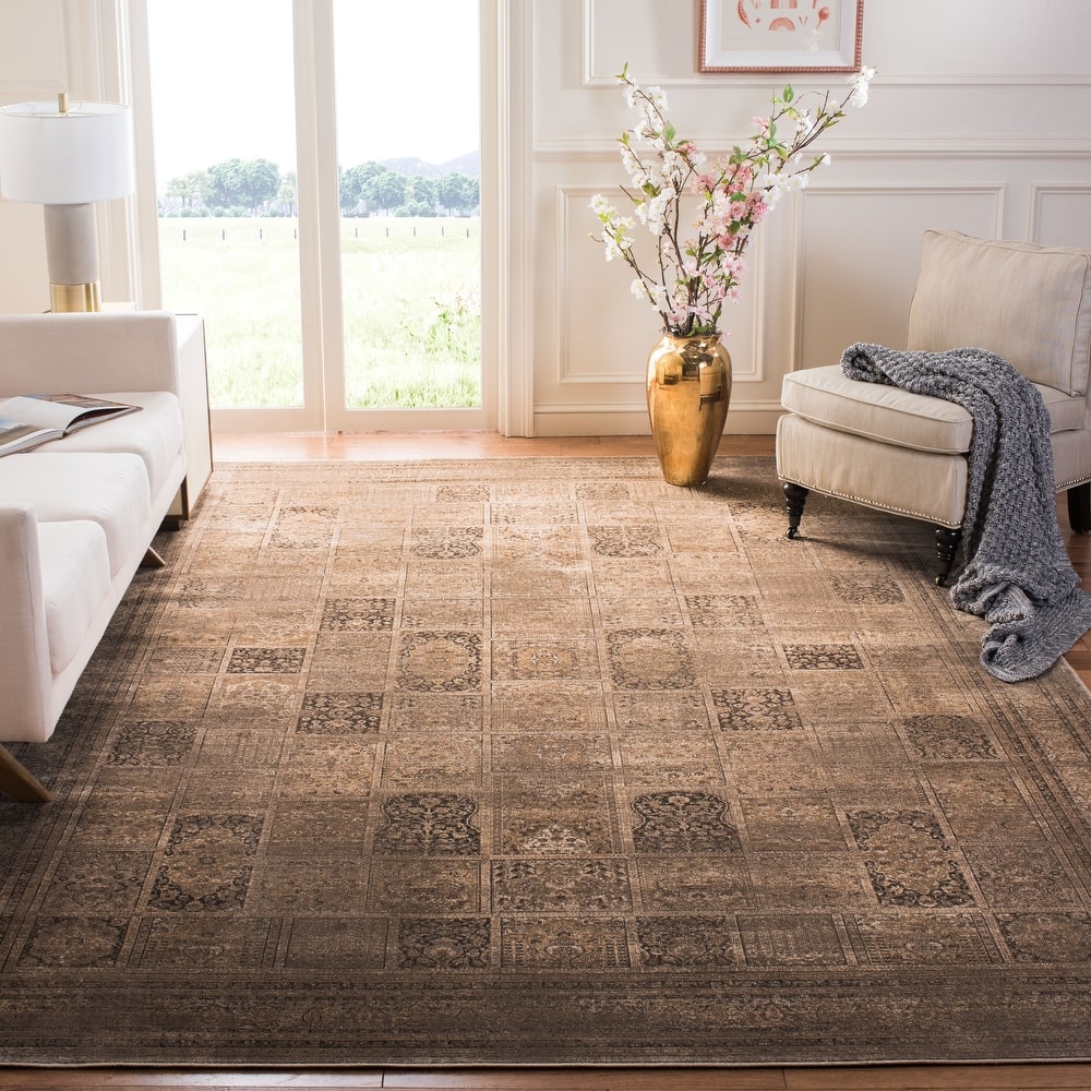 SAFAVIEH Vintage Distressed Boho Donielle Oriental Rug