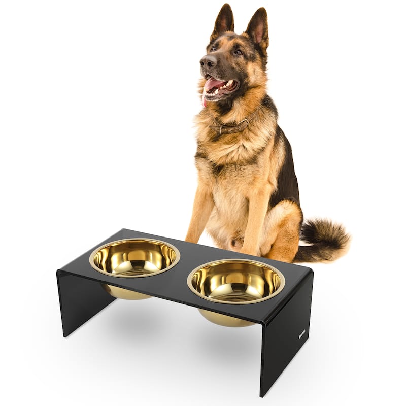 Keaton 7.5" Medium/Large Modern Lucite Rectangular Elevated Pet Feeder with 54oz 2-Stainless Steel Bowls - Black/Gold