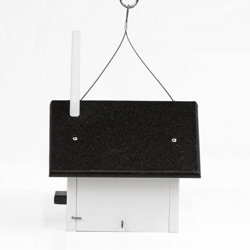 OUTDOOR LEISURE PRODUCTS Model GM31BKW Church Wren Bird House Made of High Density Poly Resin