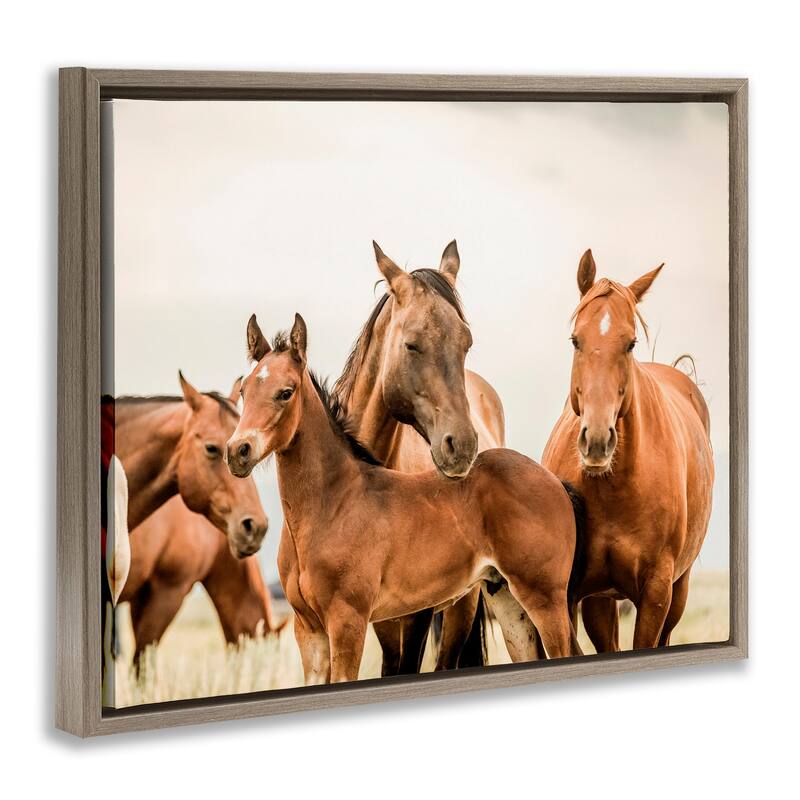 Stupell Horse & Foals Photography Framed Floater Canvas Wall Art Design by Krista Broadway
