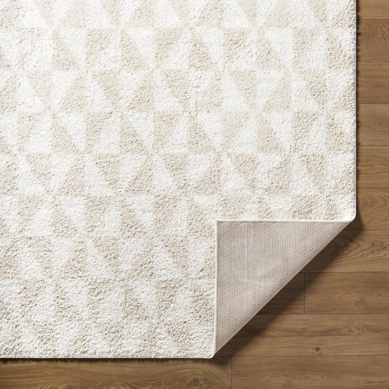 Livabliss Sacramento Shag Modern & Contemporary Area Rug