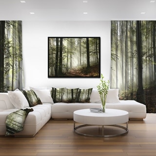 Designart "Light in Dense Fall Forest with Fog" Landscape Art Print Framed Canvas