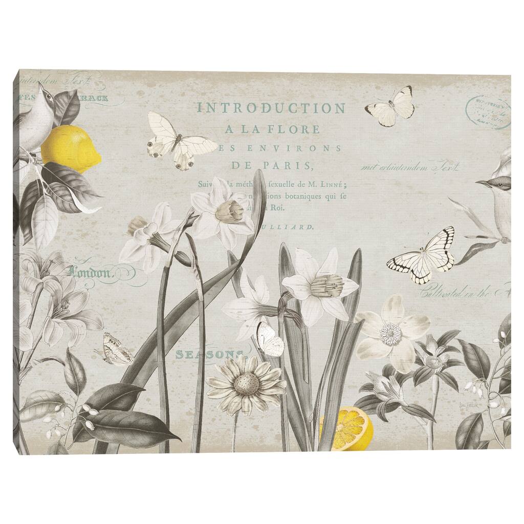 Citron Curiosities I by Katie Pertiet Canvas Art Print