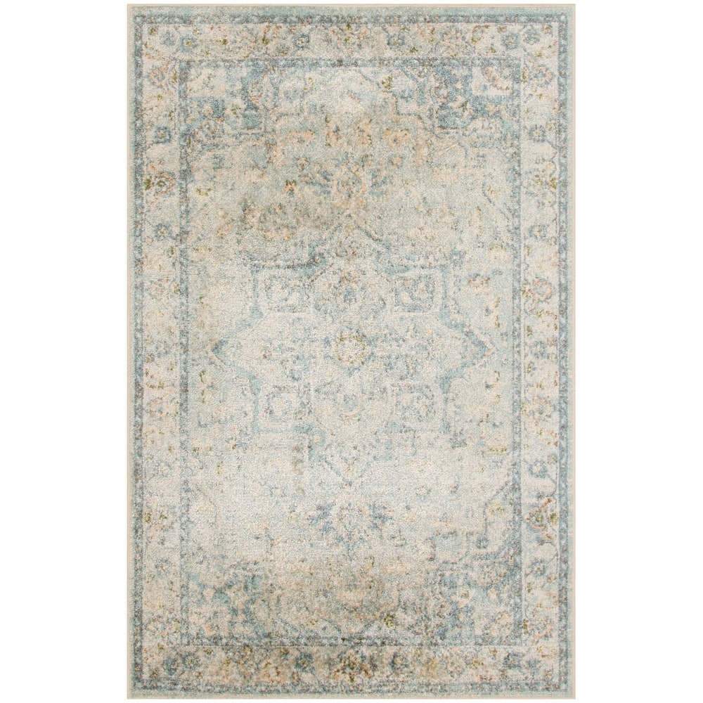 Nourison Astra Machine Washable Distressed Area Rug