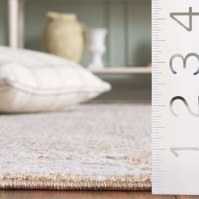 SAFAVIEH Romance Einike Vintage Distressed Rug