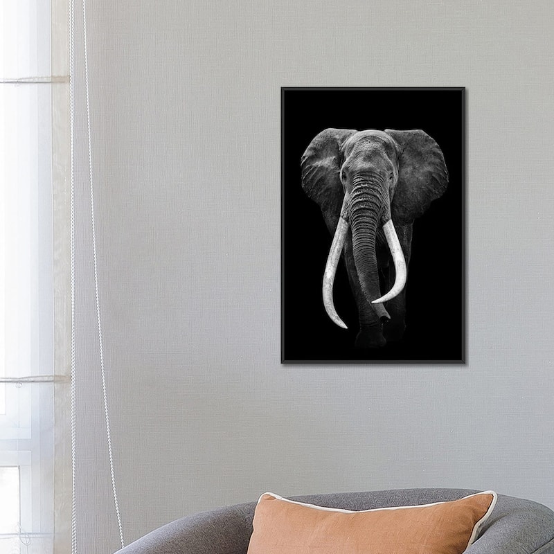 iCanvas "Elephant Black And White" by Adrian Vieriu Framed